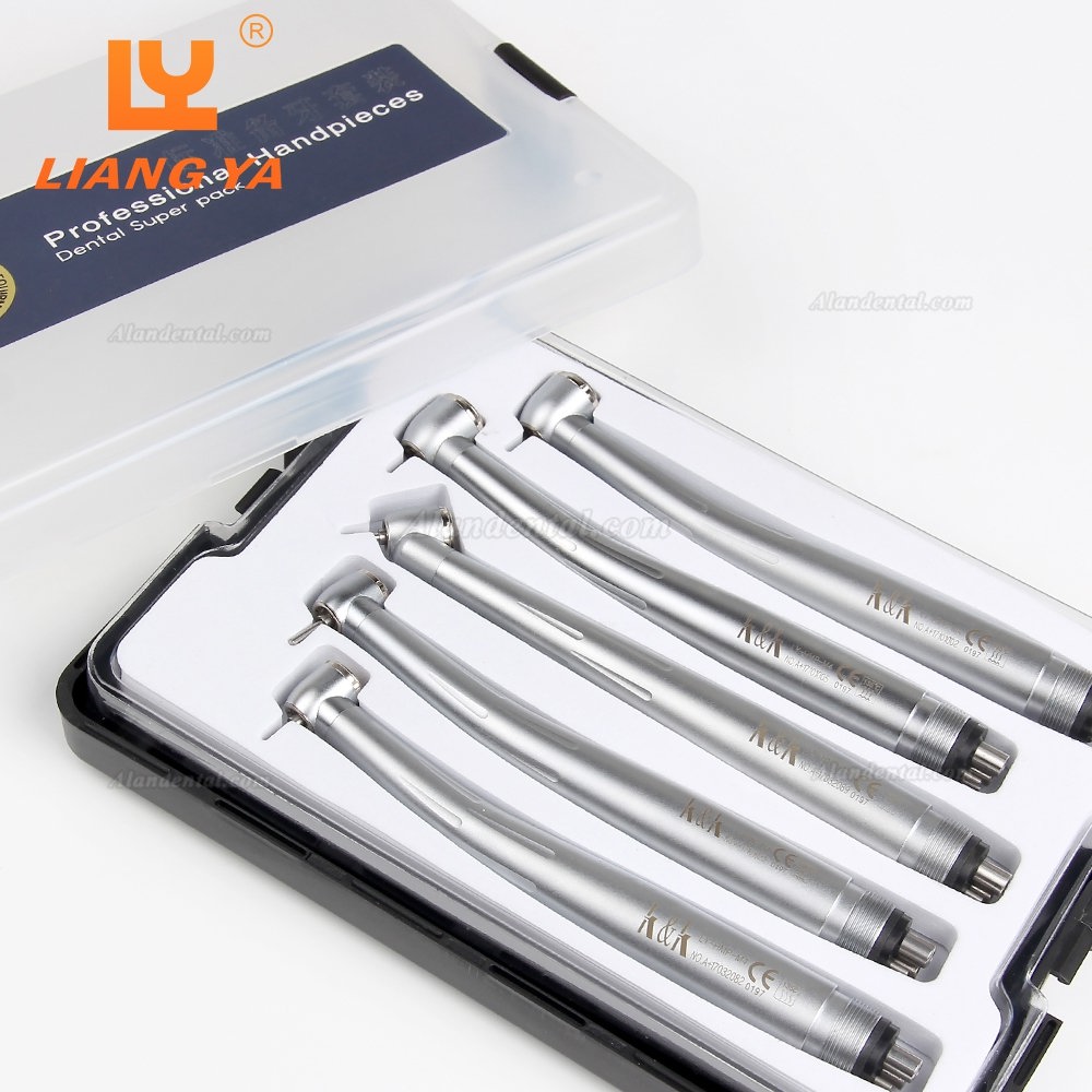 LY H502 High Speed Turbine Handpiece Kit Torque/Standard/45 Degree Head 2/4 Holes